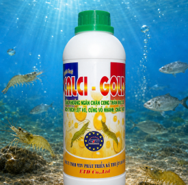 CALCI GOLD