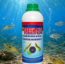 FRESH LIFE 