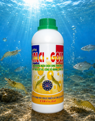 CALCI GOLD